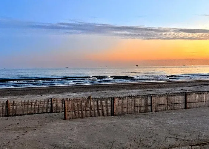 Sea La Vie
